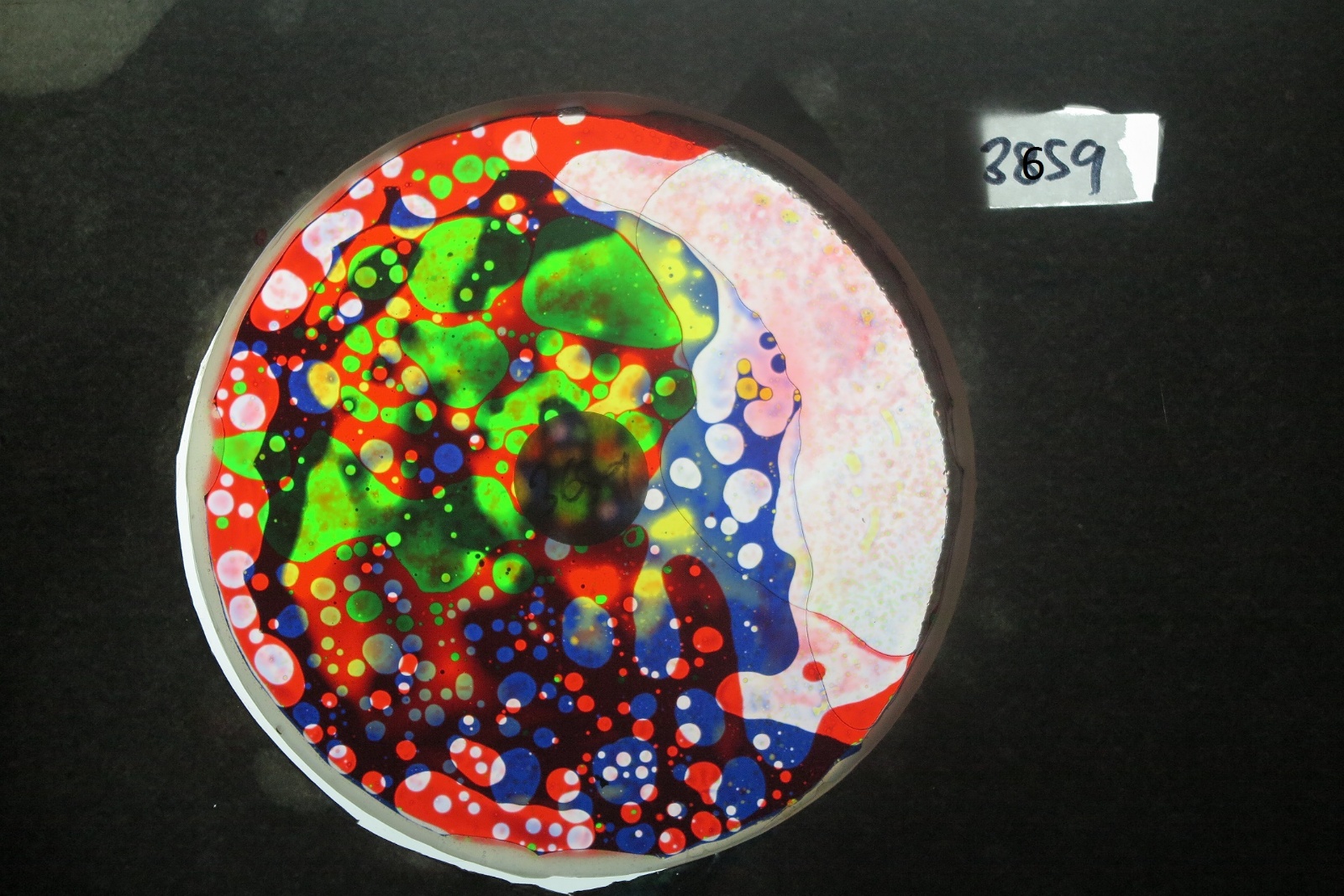 BV3659 bubble vision oil wheel